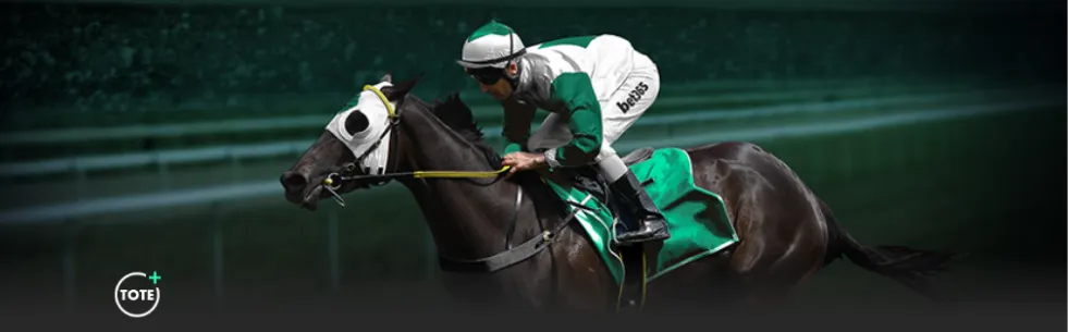 绿军双塔策,略已确立,哈迪助教回,CROWN,SPORTS,皇冠体育,皇冠体育入口,皇冠体育官网,皇冠体育APP下载