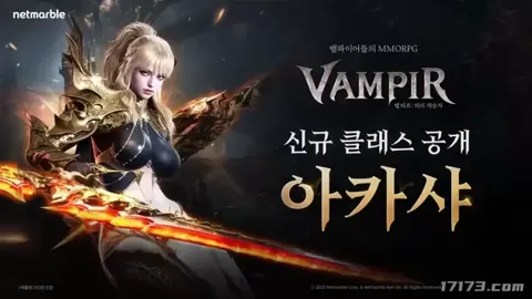 欧洲篮球联赛期号专家深度分析：焦点对决质合前区十码推荐